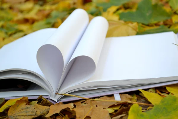 Páginas de livro curvadas em uma forma de coração coberto com folhas de outono — Fotografia de Stock