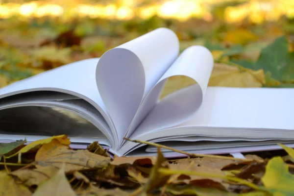 Book pages curved into a shape of heart covered with autumn leaves — Stock Photo, Image