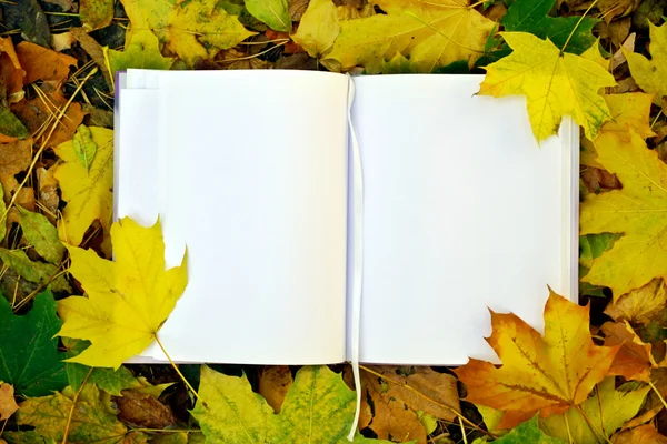 Un carnet vide recouvert de feuilles d'automne — Photo