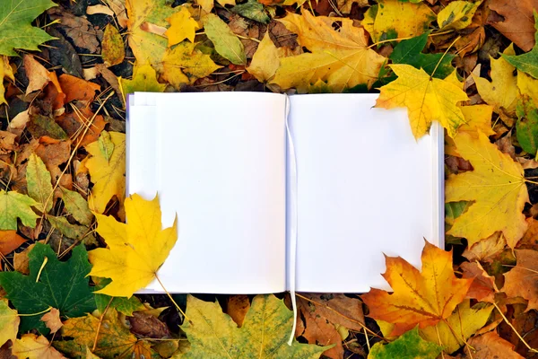 Un cuaderno vacío cubierto de hojas de otoño — Foto de Stock