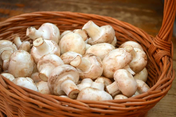 Champignons blancs crus dans un panier — Photo