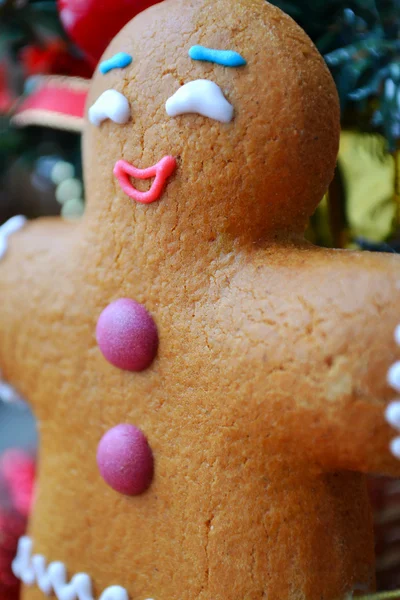 Christmas tree and a cookie man made of ginger bread — Stock Photo, Image