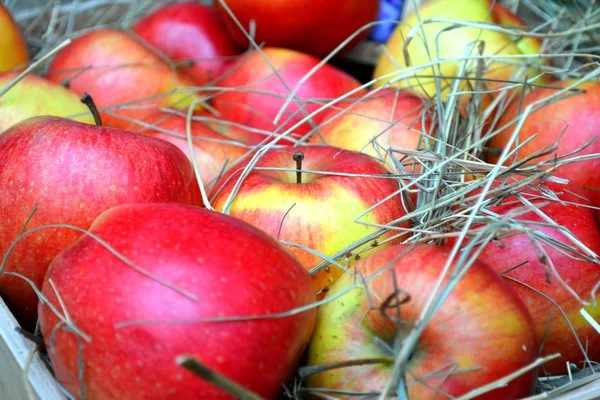 Cesta llena de manzanas rojas — Foto de Stock
