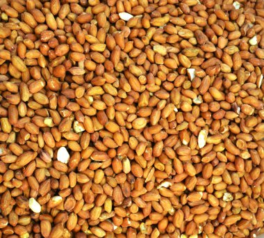 Kavrulmuş fıstık bir sürü