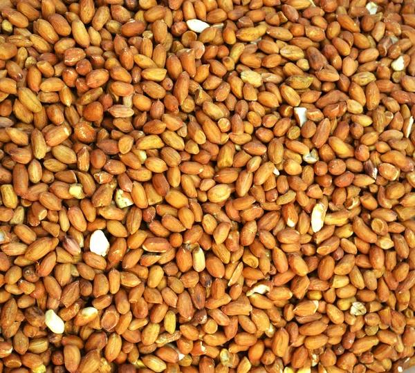 Massor av Rostade jordnötter — Stockfoto
