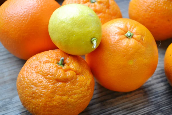 Set of citrus fruits from tangerines, oranges and lemons — Stock Photo, Image