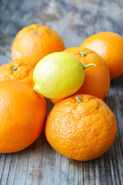 Set of citrus fruits from tangerines, oranges and lemons — Stock Photo, Image