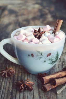 Sıcak kakao marshmallows, yıldız anason ve tarçın ile beyaz fincan
