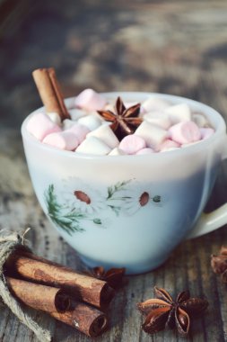 Sıcak kakao marshmallows, yıldız anason ve tarçın ile beyaz fincan