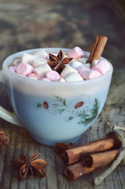 Sıcak kakao marshmallows, yıldız anason ve tarçın ile beyaz fincan