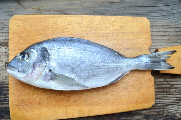 Uncooked fish dorado on wooden board — Stock Photo, Image