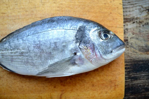 Dorado für ungekochten Fisch auf Holzbrett — Stockfoto