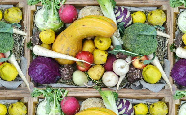 Cesta de mercado llena de diferentes frutas y verduras — Foto de Stock