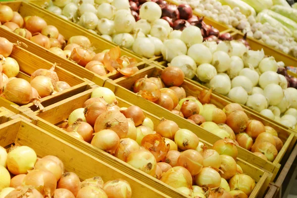 Muitas cebolas diferentes no supermercado — Fotografia de Stock