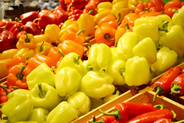 Pimientos dulces de color naranja, amarillo y rojo — Foto de Stock