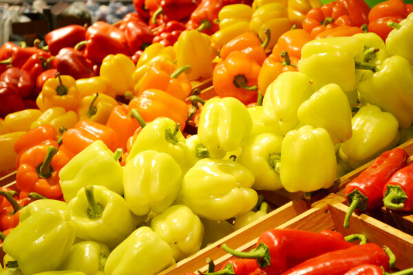 Sweet orange, yellow and red bell peppers