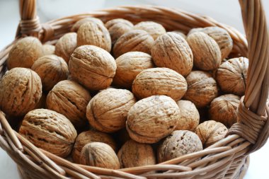 Çok sayıda sağlıklı ceviz kabuklarında