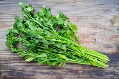 Demet taze yeşil maydanoz ahşap tablo