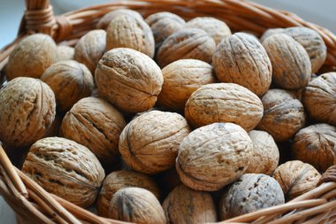 Çok sayıda sağlıklı ceviz kabuklarında