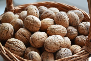 Lots of healthy walnuts in shells clipart