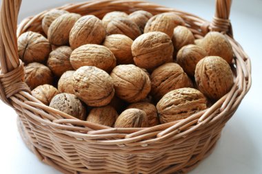 Çok sayıda sağlıklı ceviz kabuklarında