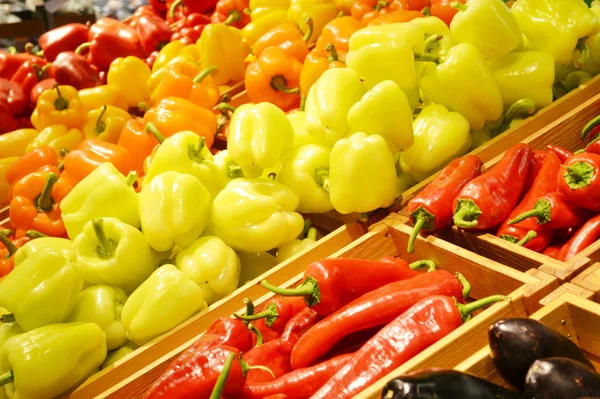 Verduras en la tienda de comestibles — Foto de Stock