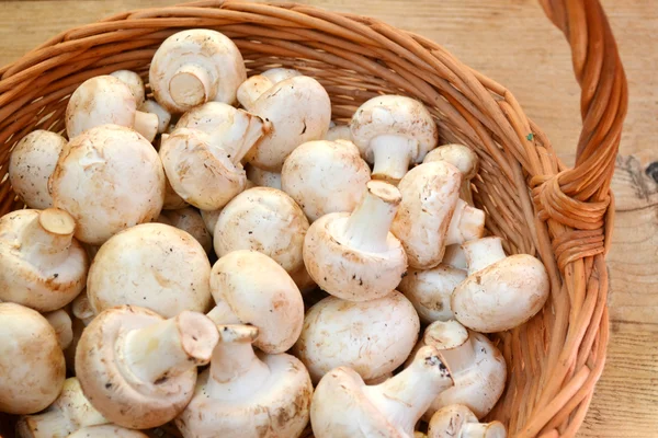 Raw white mushrooms champignons in a basket