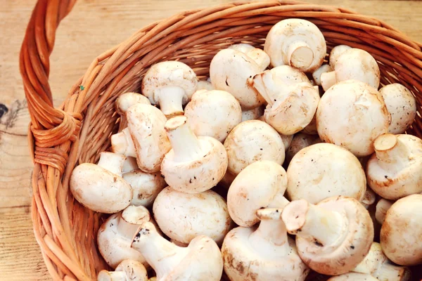 Champignons mit rohen weißen Pilzen in einem Korb — Stockfoto