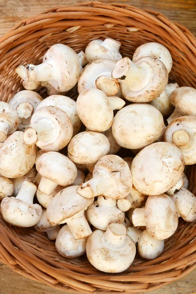 Raw white mushrooms champignons in a basket