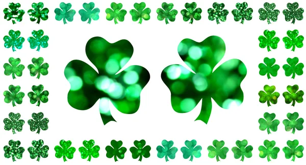 Διαφορετικά είδη παραδοσιακό σύμβολο της Saint Patrick της ημέρας - το πράσινο φύλλο τριφυλλιού — Φωτογραφία Αρχείου