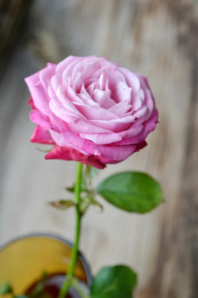 Rosa rosa en un pequeño jarrón sobre una mesa de madera —  Fotos de Stock