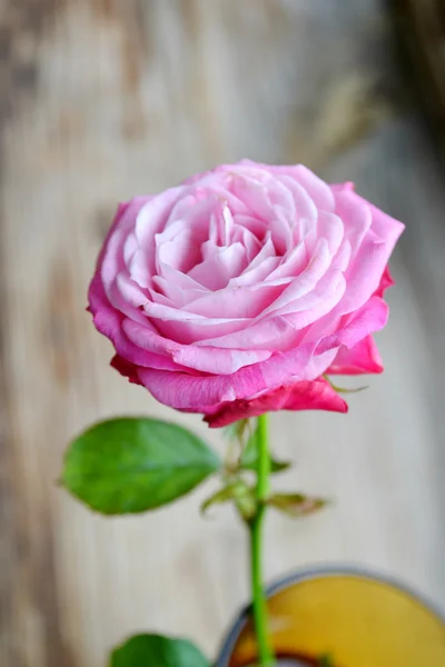 Einzelne rosa Rose in einer kleinen Vase auf einem Holztisch — Stockfoto