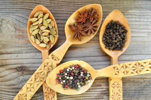 Four spoons full of different spices - cardamom, anise stars and peppers — Stock Photo, Image