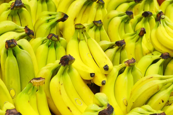 Lots of organic yellow bananas at the market — Stock Photo, Image