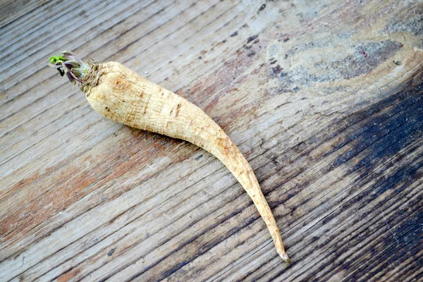 Parsley root on wooden table — Stock Photo, Image