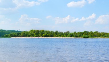 Nehir kıyısında bir plaj ve yeşil woods ile