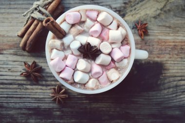 Sıcak kakao marshmallows, yıldız anason ve tarçın ile beyaz fincan
