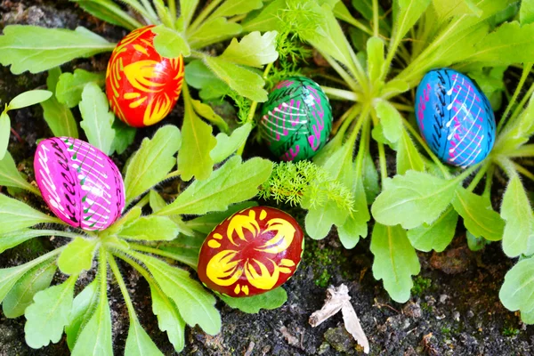 Färgglada påskägg gömda i grönt gräs och marken — Stockfoto