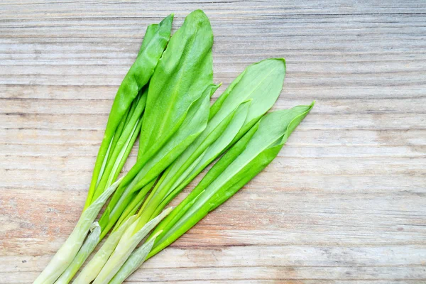 Wild leek garlic herbs on wooden table — Stock Photo, Image