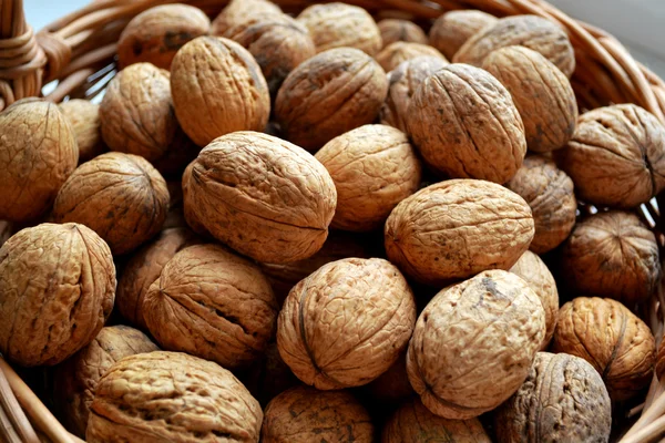 Muchas nueces sanas en cáscaras —  Fotos de Stock