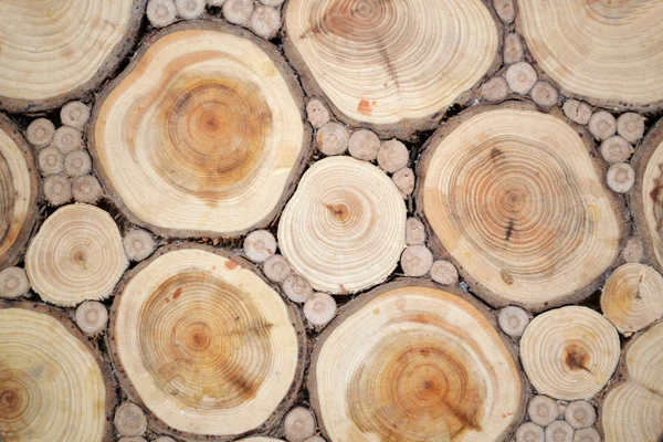 Textura abstrata de madeira de sândalo muito antiga — Fotografia de Stock
