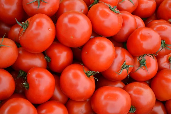 Pomodori rossi grandi — Foto Stock