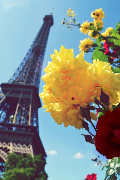 美丽的黄色和红色花朵，与著名的埃菲尔铁塔，在背景 — 图库照片