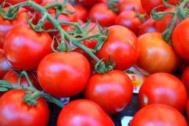 büyük kırmızı domates