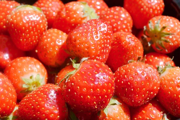 Un montón de sabrosas fresas rojas —  Fotos de Stock