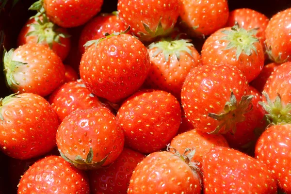 Viele leckere rote Erdbeeren — Stockfoto