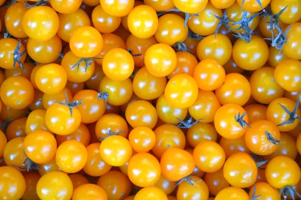 Маленькие жёлтые помидоры — стоковое фото