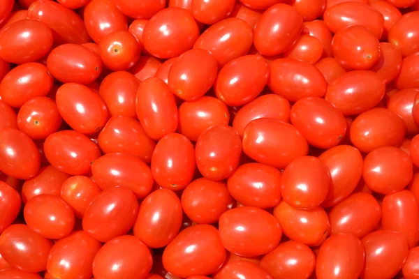 Kleine rote Tomaten — Stockfoto
