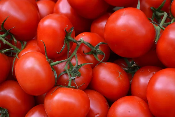 Big red tomatoes — Stock Photo, Image