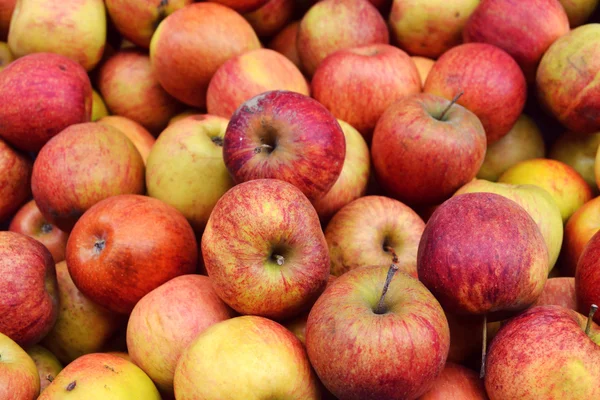 Whole tasty red apples at the market — Stock Photo, Image